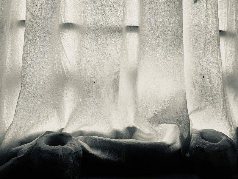 Gardiner Glæde - Image 6